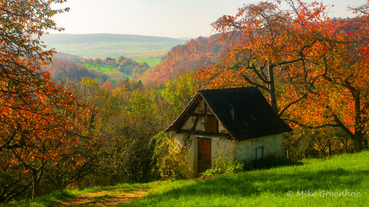 Location Black Forest Academy location-black-forest-academy